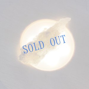 画像3: ★寒中おみまい標本セット