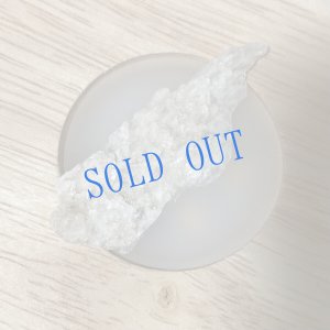 画像4: ★寒中おみまい標本セット