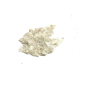 画像2: ★寒中おみまい標本セット