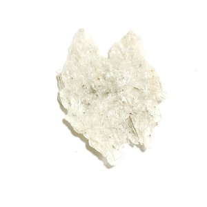 画像3: ★寒中おみまい標本セット