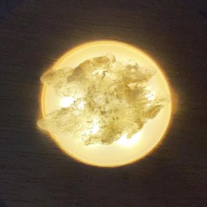 画像4: ★寒中おみまい標本セット