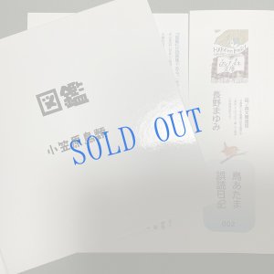 画像5: ★帯文/長野まゆみ・小笠原鳥類/著「図鑑」Cset