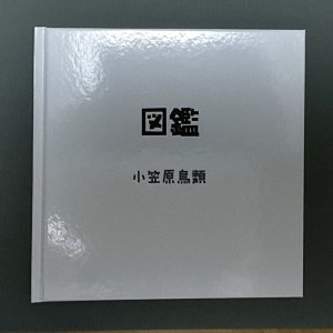 画像4: ★帯文/長野まゆみ・小笠原鳥類/著「図鑑」うにset