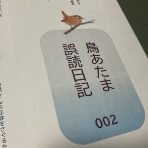 画像2: ★長野まゆみ新作！函ノ森文庫通信002セット