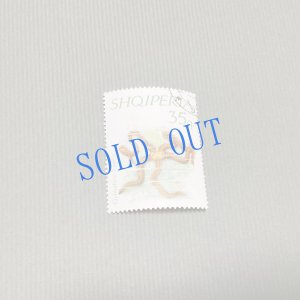 画像7: ★帯文/長野まゆみ・小笠原鳥類/著「図鑑」Bset