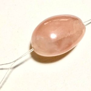 画像4: ★お菓子な猫お菓子手帖《予告編》