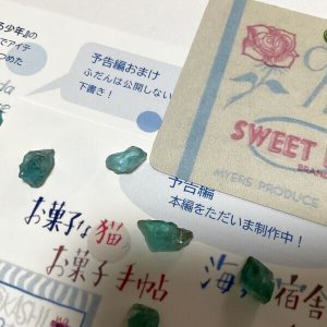画像4: ★お菓子な猫お菓子手帖《予告編》