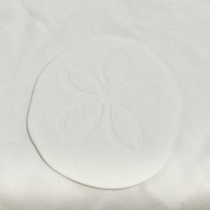 画像3: ★長野まゆみイラストカード＆Tシャツset