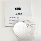 ★帯文/長野まゆみ・小笠原鳥類/著「図鑑」set