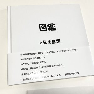 画像2: ★帯文/長野まゆみ・小笠原鳥類/著「図鑑」set