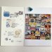 画像1: ★「函ノ森　夏」（2025年）標本セット (1)