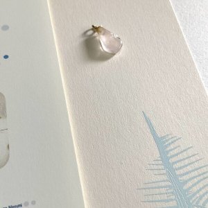 画像2: ★「函ノ森　夏」（2025年）標本セット