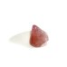 画像2: ★「函ノ森　夏」（2025年）標本セット (2)