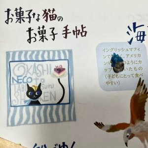 画像1: ★新作「お菓子な猫のお菓子手帖」