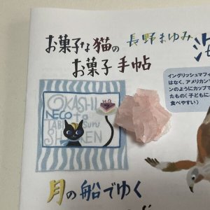 画像1: ★「お菓子な猫のお菓子手帖」