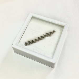 画像4: ★「お菓子な猫のお菓子手帖」