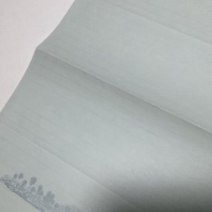 画像4: ★少年電氣食堂 夏のおもいで《函ノ森》