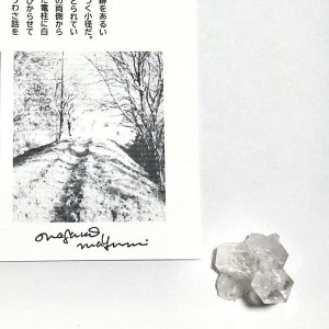 画像3: ★「少年電氣食堂2023 秋」標本セット