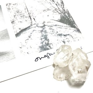 画像4: ★「少年電氣食堂2023 秋」標本セット