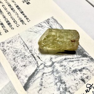画像3: ★「少年電氣食堂2023 秋」標本セット