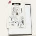 画像1: ★「少年電氣食堂2023 秋」標本セット (1)