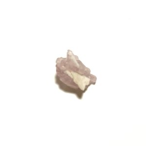画像5: ★「少年電氣食堂2025 秋麗」セット