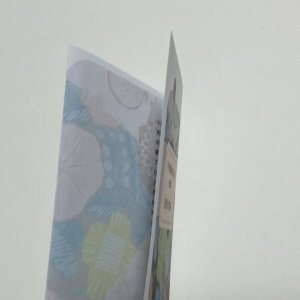 画像4: ★「少年電氣食堂2025 秋麗」セット