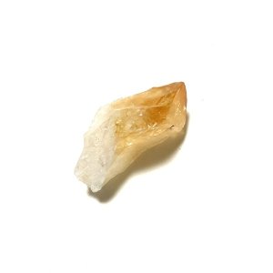 画像2: ★「少年電氣食堂2025 秋麗」セット