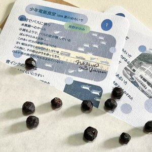 画像1: ★少年電氣食堂 「夏のおもいで」set