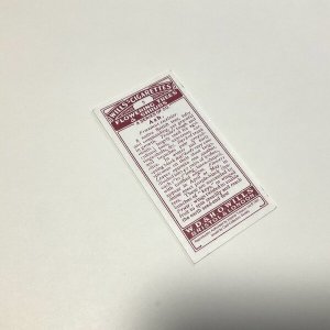 画像6: 新作★少年電氣食堂 「コノハブネ」set 04