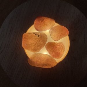 画像3: 新作★函ノ森 Late Summerセット