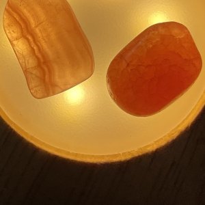 画像3: 新作★函ノ森 Late Summerセット