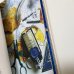 画像5: 新作★函ノ森 Late Summerセット