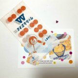 新作★函ノ森 Late Summerセット