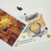 画像1: 新作★函ノ森 Late Summerセット (1)