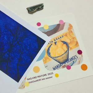 画像1: 新作★函ノ森 Late Summerセット