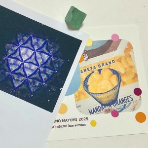 画像1: 新作★函ノ森 Late Summerセット