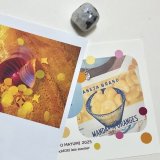 新作★函ノ森 Late Summerセット