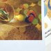 画像4: 新作★函ノ森 Late Summerセット (4)