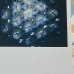 画像4: 新作★函ノ森 Late Summerセット (4)