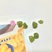 画像4: 新作★函ノ森 Late Summerセット (4)