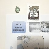 ★「函ノ森　夏」標本セット
