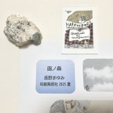 ★「函ノ森　夏」標本セット