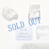 ★「函ノ森　夏」標本セット