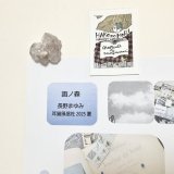 ★「函ノ森　夏」標本セット