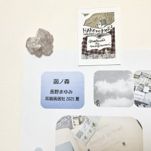 画像1: ★「函ノ森　夏」標本セット