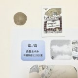 ★「函ノ森　夏」標本セット