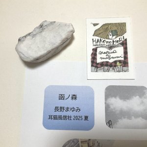 画像3: ★「函ノ森　夏」標本セット