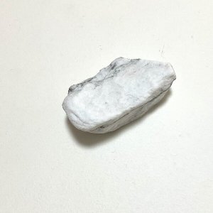 画像4: ★「函ノ森　夏」標本セット