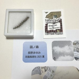 画像1: ★「函ノ森　夏」標本セット